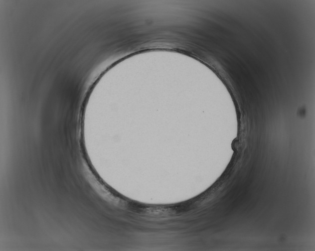 X0000115760795200912241728
