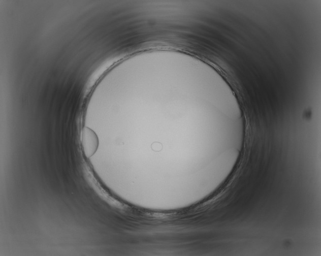 X0000115760796200912241728