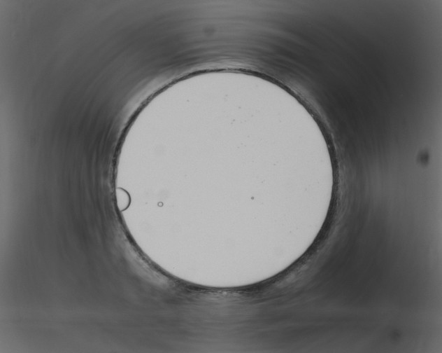 X0000115760797200912241728