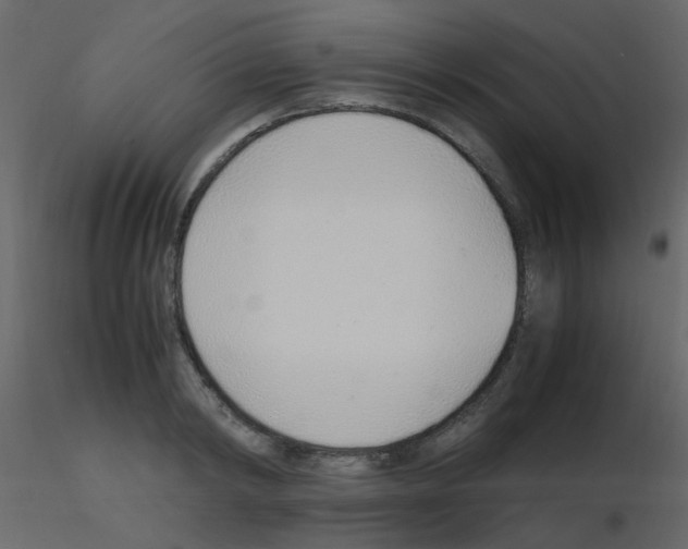 X0000115760798200912241728