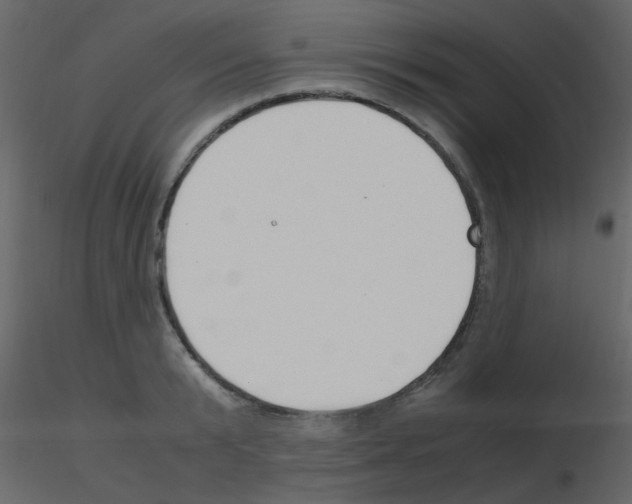 X0000115760799200912241728
