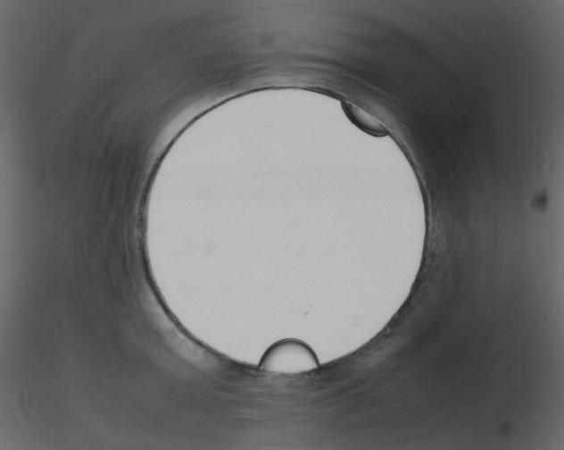 X0000115760803200912241728
