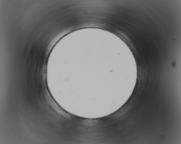 X0000115760804200912241728