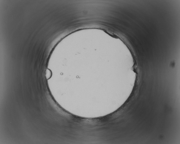 X0000115760805200912241728