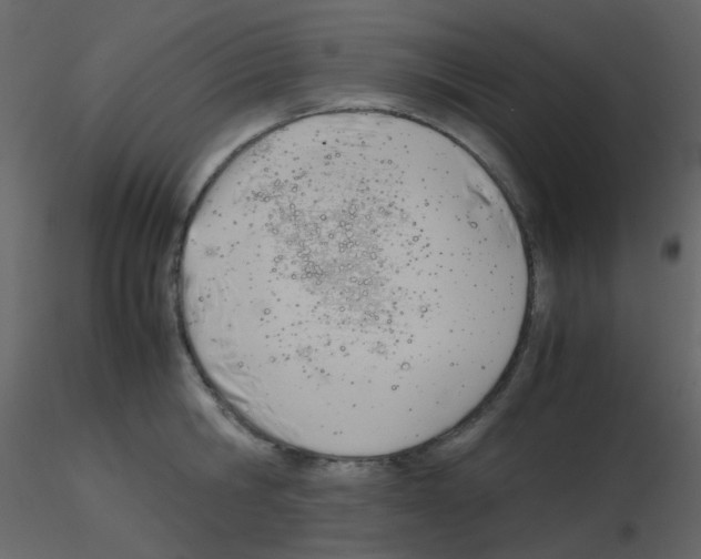 X0000115760806200912241728