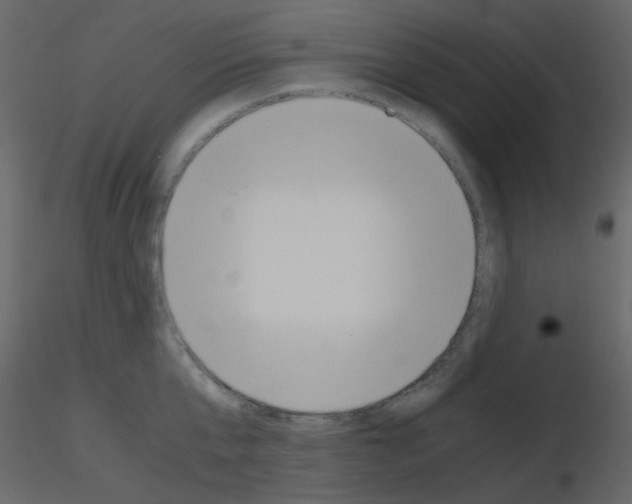 X0000115760807200912241728