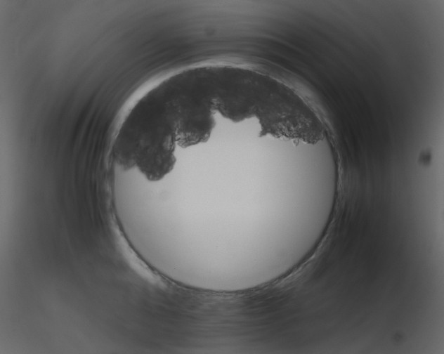 X0000115760808200912241728