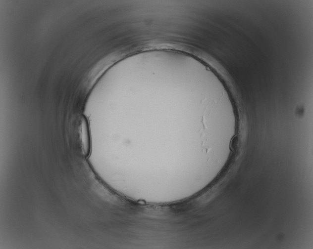 X0000115760809200912241728