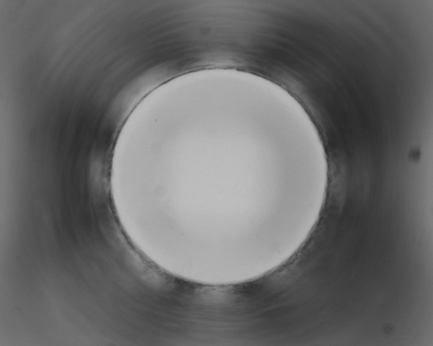 X0000115760810200912241728