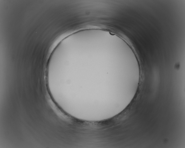 X0000115760811200912241727