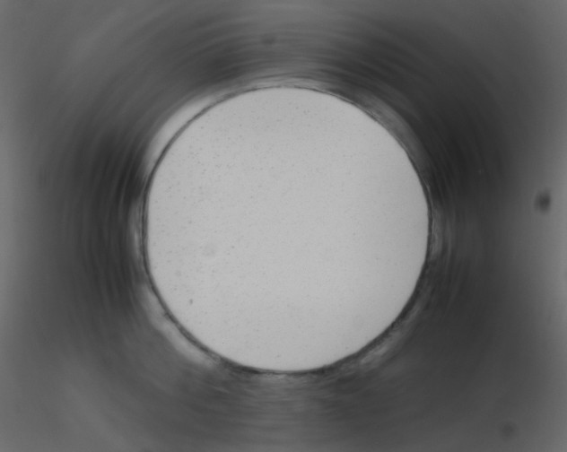 X0000115760812200912241727