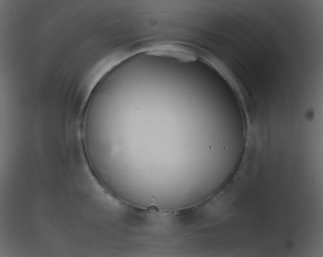 X0000115760813200912241727