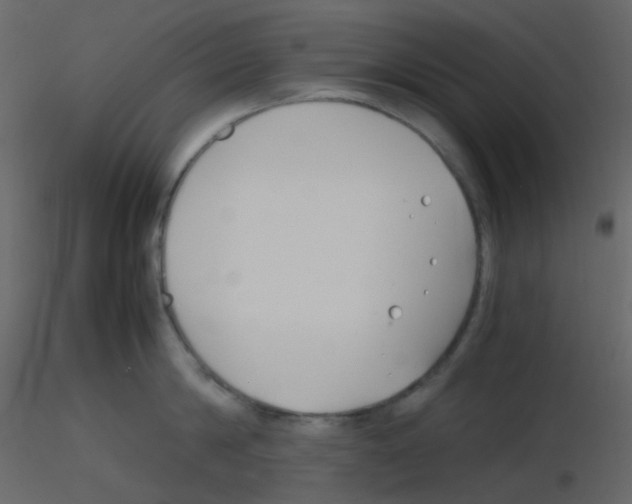 X0000115760814200912241727