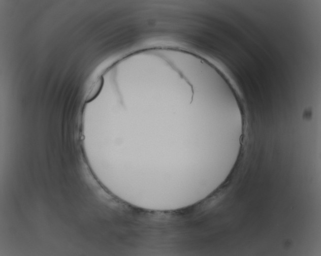 X0000115760815200912241727
