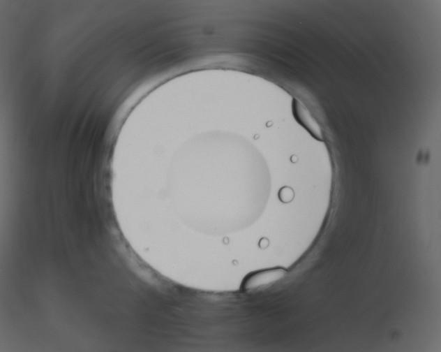 X0000115760816200912241727