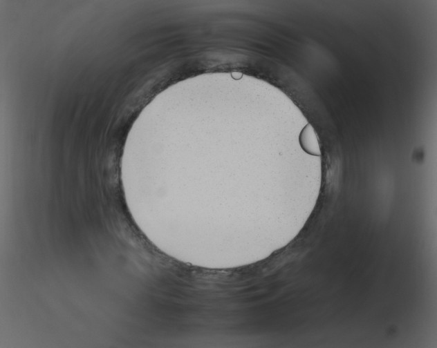 X0000115760819200912241727