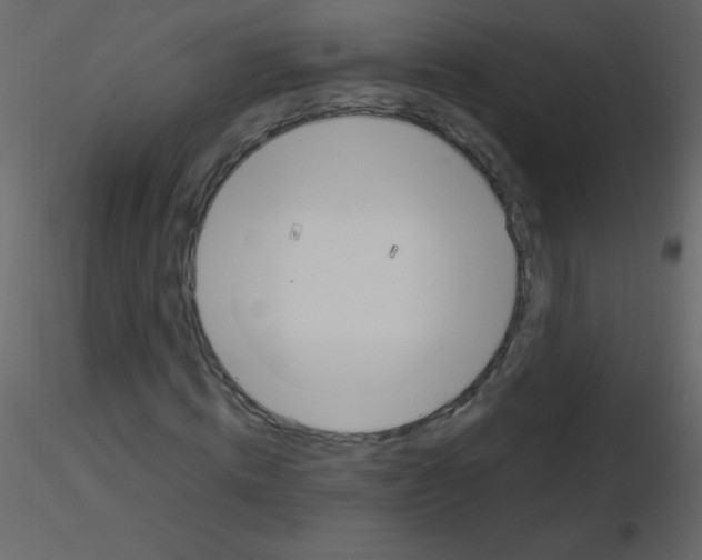 X0000115760820200912241727