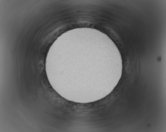 X0000115760821200912241727