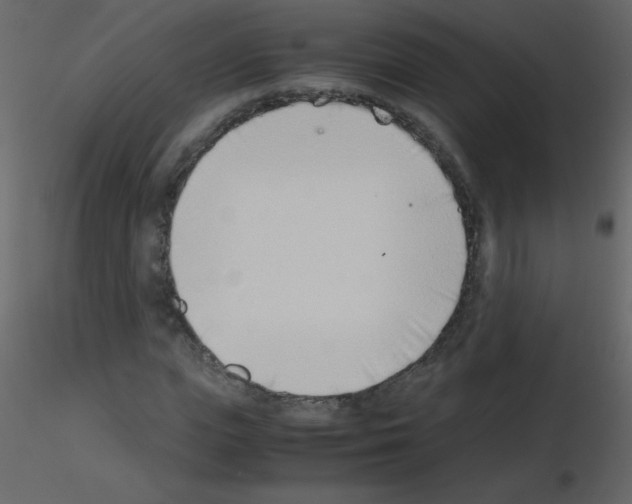 X0000115760823200912241727