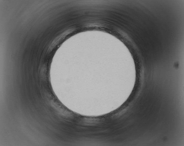 X0000115760825200912241727