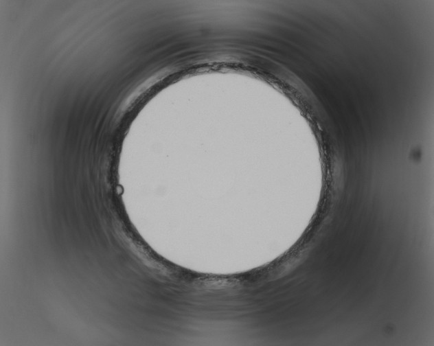 X0000115760826200912241727