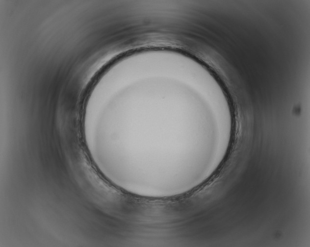 X0000115760828200912241727