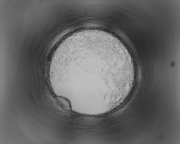 X0000115760829200912241727