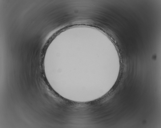 X0000115760830200912241727