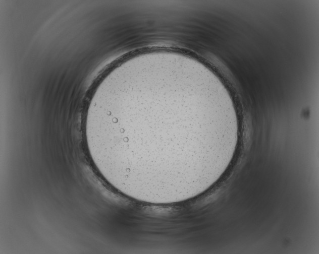 X0000115760831200912241727