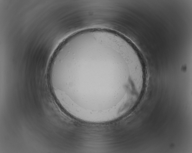 X0000115760832200912241727
