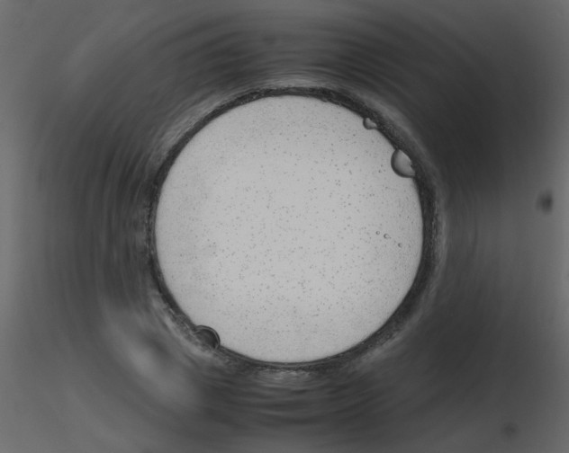 X0000115760833200912241727