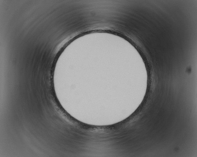 X0000115760834200912241727