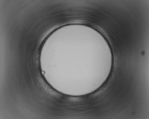 X0000115760835200912241727