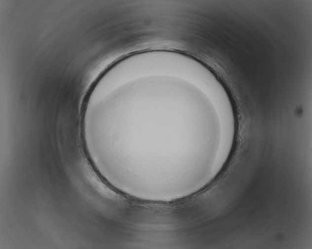 X0000115760836200912241727