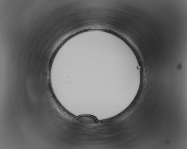 X0000115760837200912241727