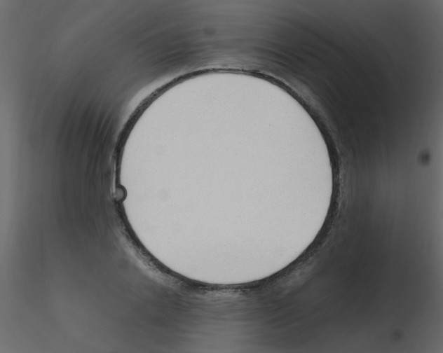 X0000115760838200912241727