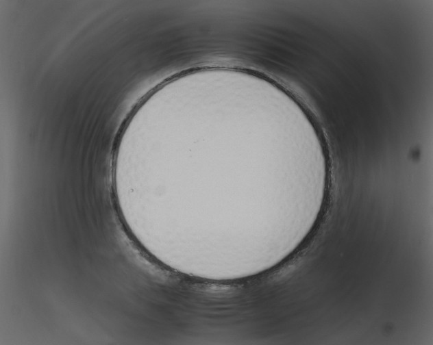 X0000115760839200912241727