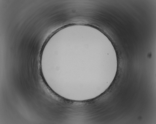 X0000115760840200912241727
