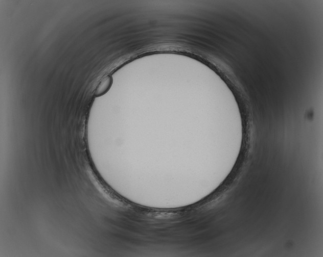 X0000115760841200912241727
