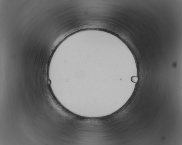 X0000115760842200912241727