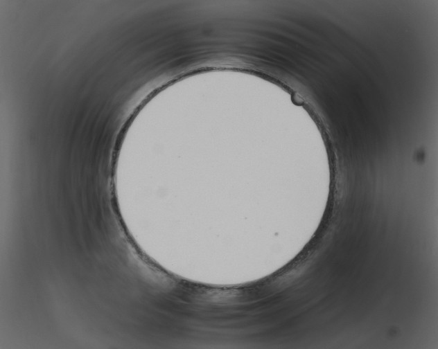 X0000115760845200912241727
