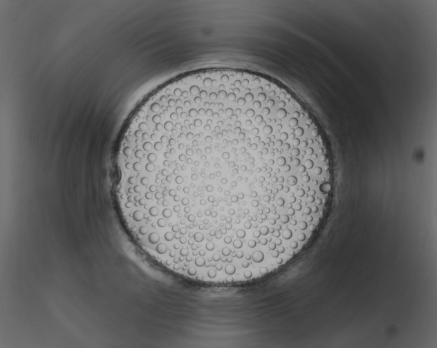 X0000115760846200912241727