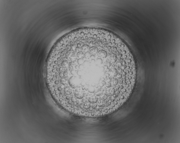 X0000115760848200912241727