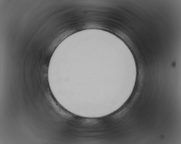 X0000115760849200912241727