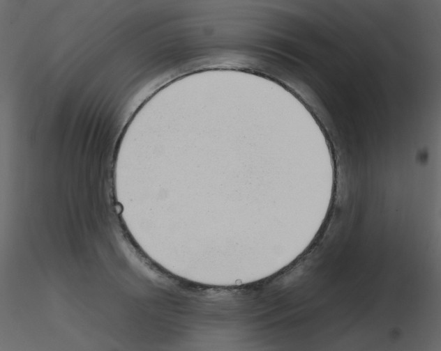 X0000115760850200912241727