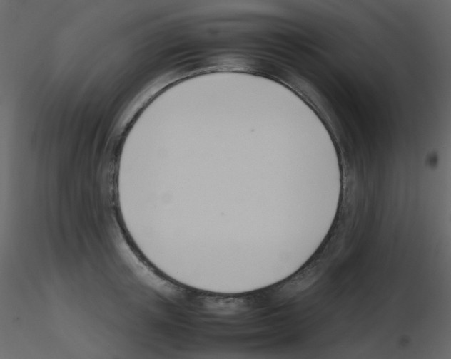 X0000115760851200912241727