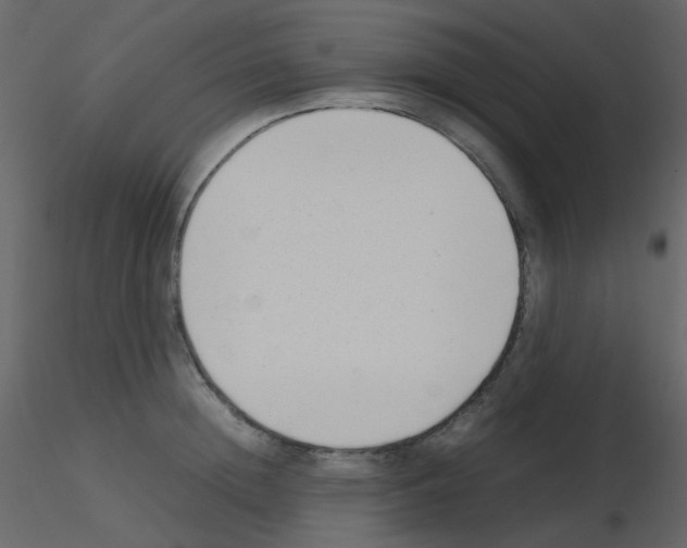 X0000115760852200912241727