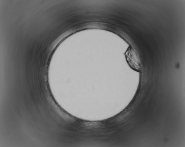 X0000115760853200912241727