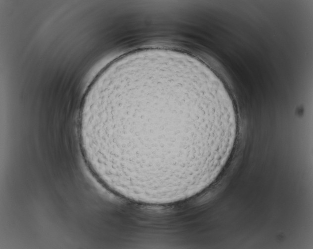 X0000115760855200912241727