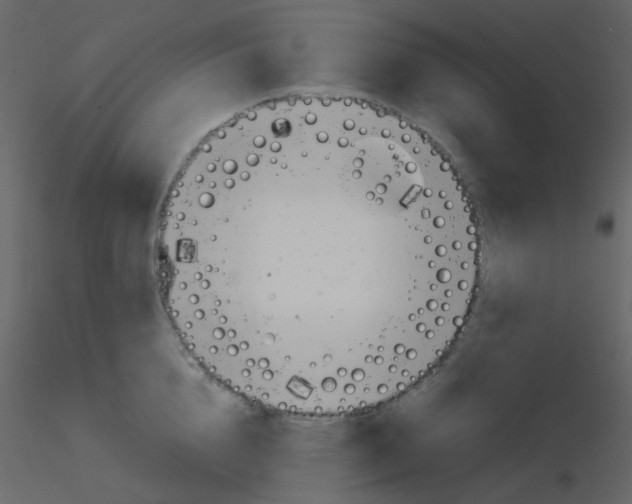 X0000115760856200912241727